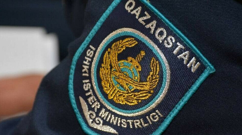 Интерпол вернул в Казахстан ребенка, незаконно вывезенного в Турцию