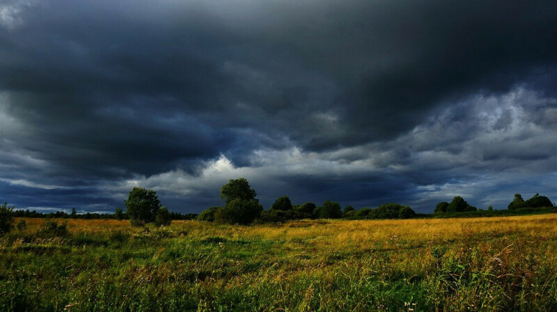 Какая погода ожидает казахстанцев 25 мая