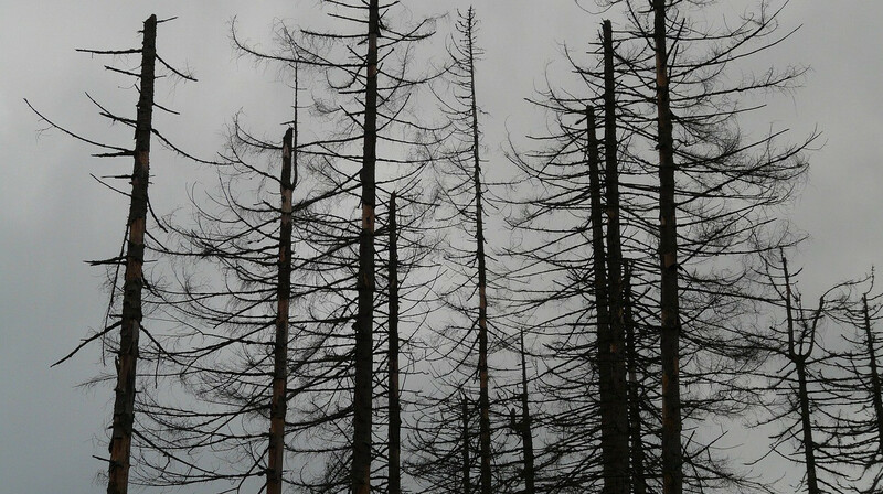Почти во всему Казахстану объявлено штормовое предупреждение