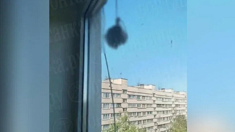 Жители многоэтажки обнаружили оторванную человеческую голову за окном в Санкт-Петербурге