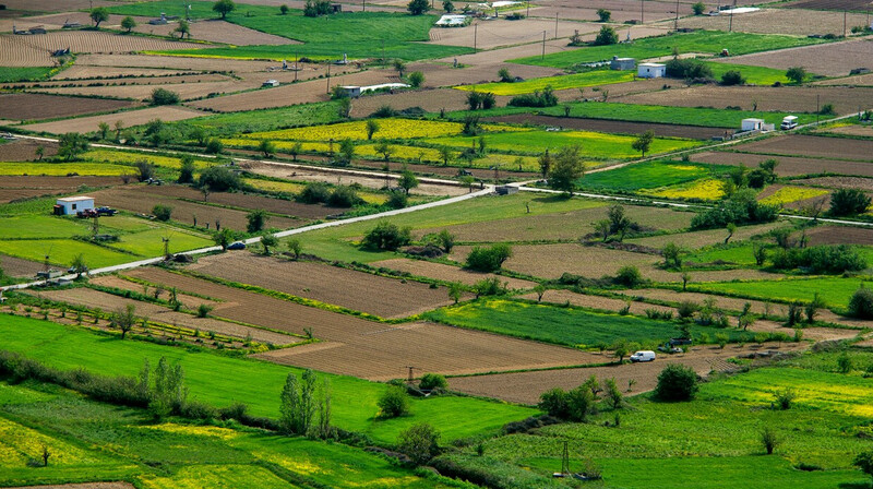 В Павлодарской области пресечена незаконная передача 3 тысяч гектаров земли