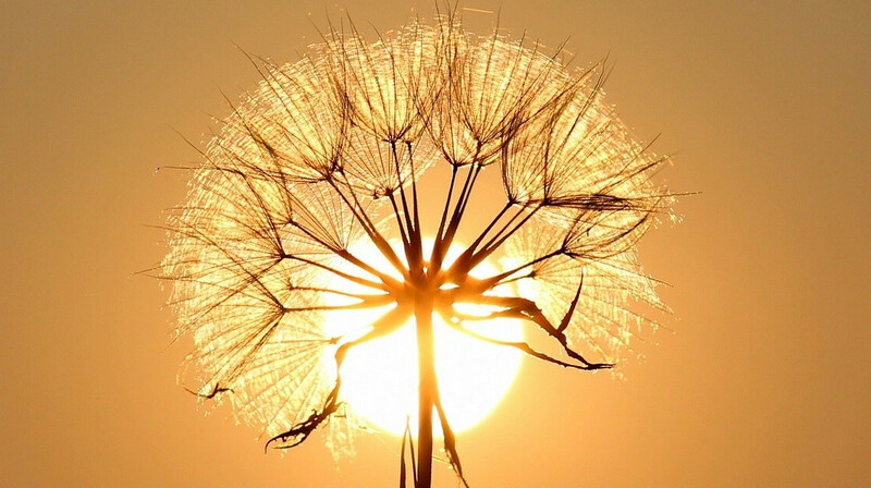 Какая погода ждет казахстанцев в первые дни июня?