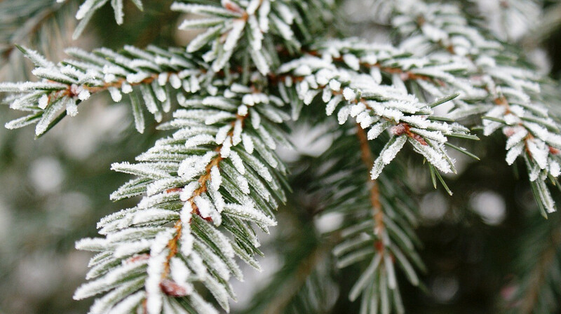 Дожди с переходом в снег ожидают казахстанцев в первый день лета