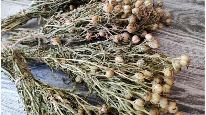 Казахстанцам посоветовали не въезжать в Россию с адыраспаном