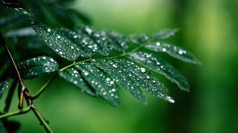 Большую часть Казахстана ожидают дожди и грозы 4 июня