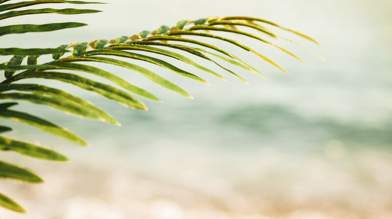 Прогноз погоды на 4 июня в Казахстане