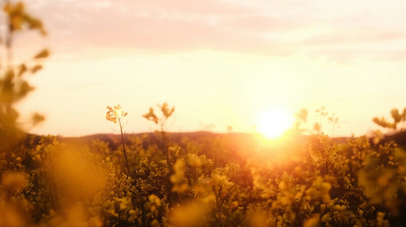 В Казахстане опровергли пугающие прогнозы о 50-градусной жаре