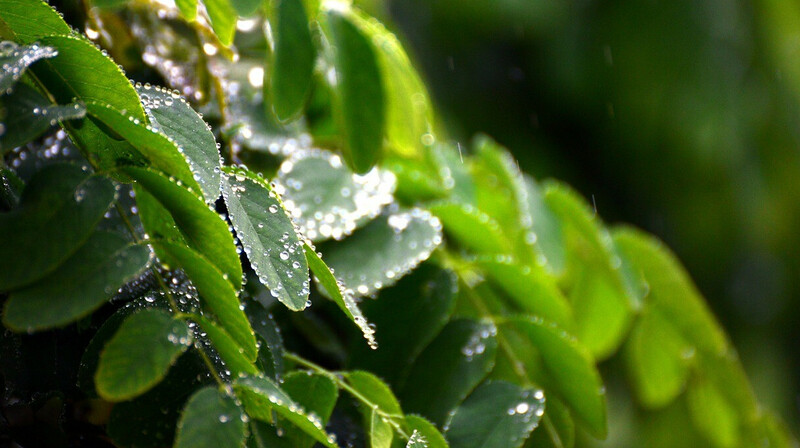 Неустойчивую погоду обещают казахстанцам 6 июня