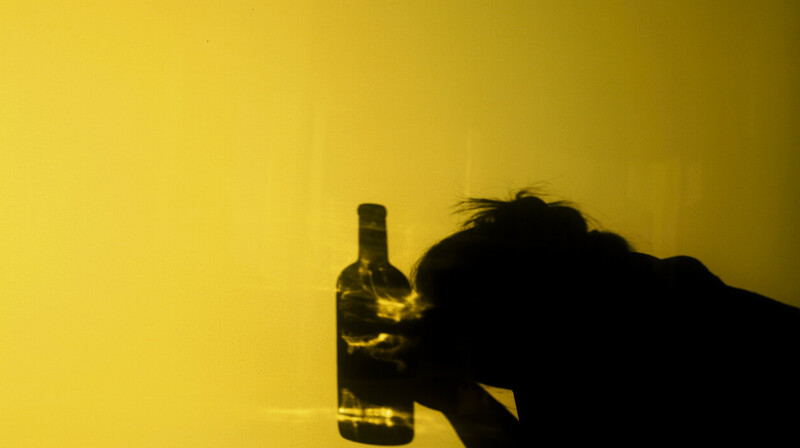 "Спящую красавицу" на дороге обнаружили полицейские Павлодара. ВИДЕО