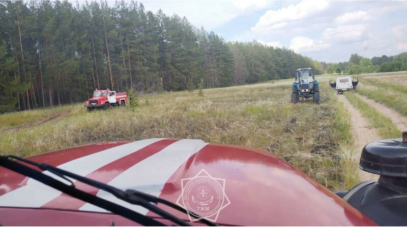 Тракториста оштрафовали за поджог сухой травы в области Абай