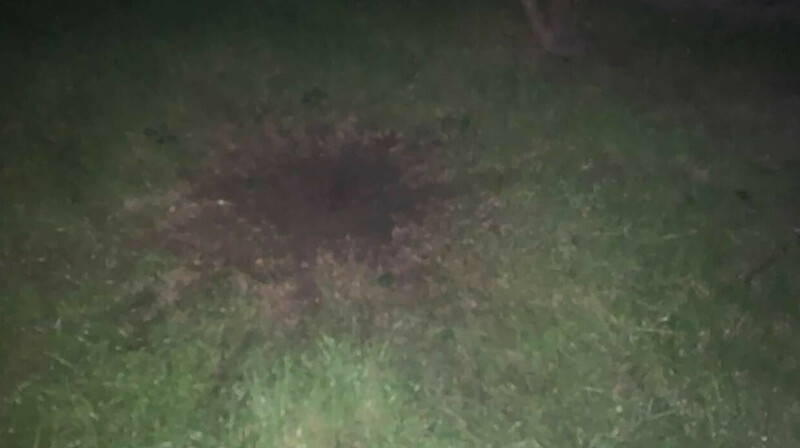 В Киеве мужчина бросил гранату в окно квартиры брата