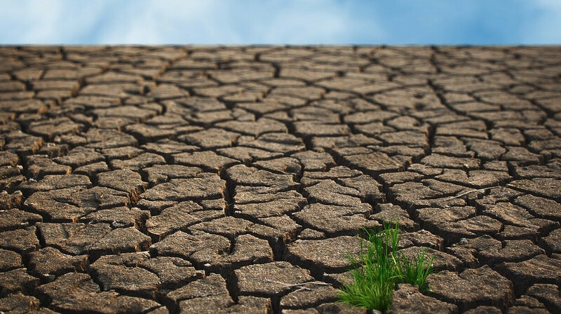 В каких регионах Казахстана в июле ожидается засуха