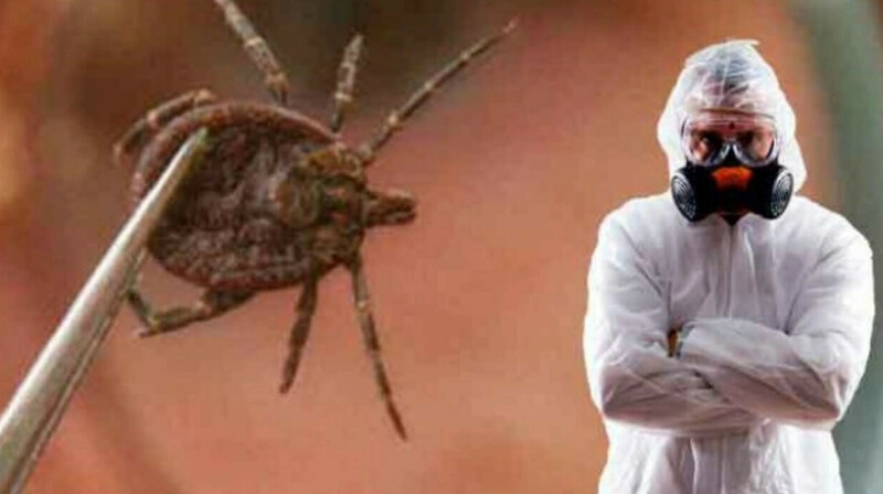 Мужчина скончался от конго-крымской геморрагической лихорадки в Шымкенте