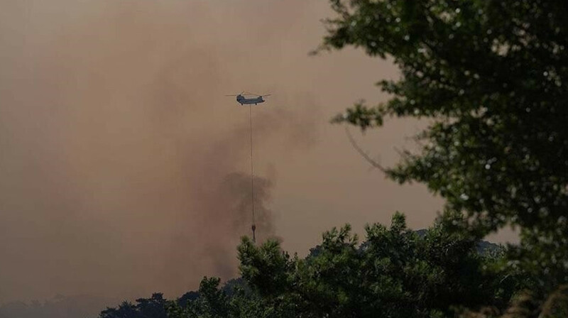 Крупные лесные пожары охватили Турцию: Азербайджан готов оказать поддержку