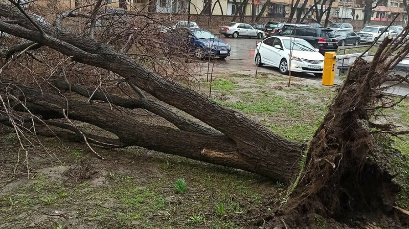 В Павлодарской области могут ввести режим ЧС из-за разрушений, вызванных штормовым ветром