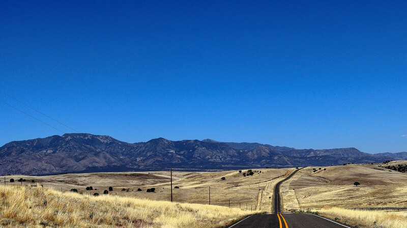 Тела 11 человек бросили на шоссе в Мексике