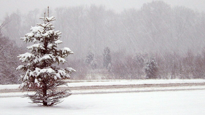 Казахстан накроет снегом и дождем 13 ноября