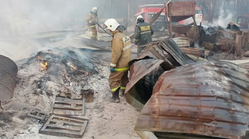 Около 21 млрд тенге выплатит лесник из Костанайской области за крупный пожар