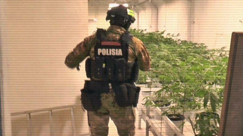 МВД изъяло свыше 5,5 тонн наркотиков за два месяца