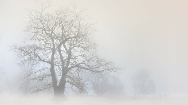 Синоптики прогнозируют туман и усиление ветра в большинстве регионов Казахстана 15 января