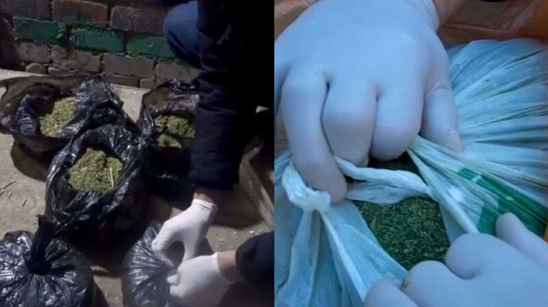 В Актобе задержан мужчина с 36 кг марихуаны на 12 млн тенге