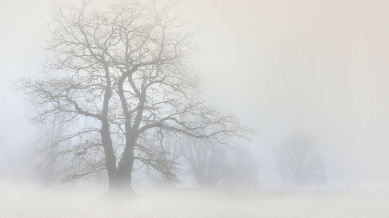 Туман, гололед и метель прогнозируют 21 января в Казахстане
