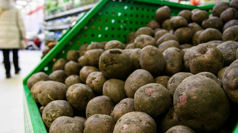 В регионах начали распределение картофеля из стабфондов