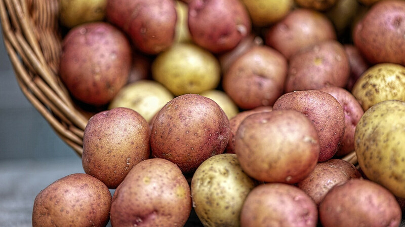 В области Улытау стабилизируется цена на картофель