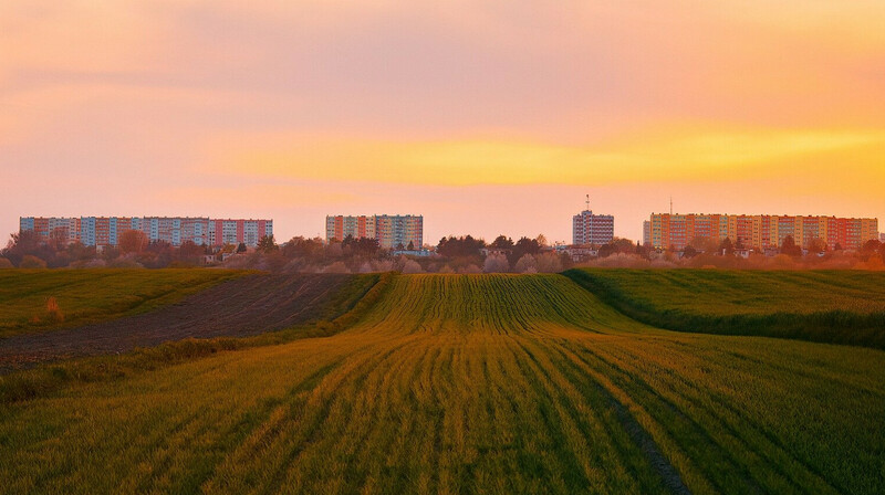 Земли на 111 млн тенге возвращены в госсобственность в Жетысуской области