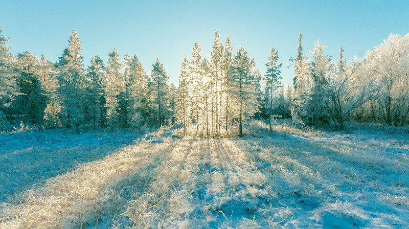 5 февраля казахстанцев ожидает холодная и сухая погода