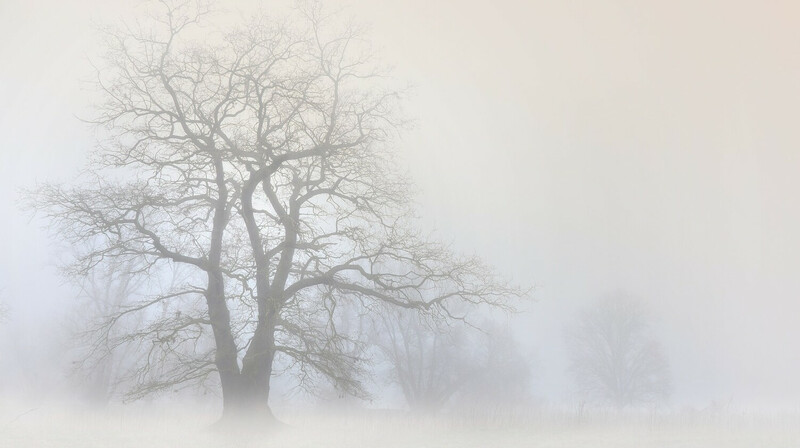 Прогноз погоды на 4 февраля: в Казахстане без осадков, но с туманами и гололедом