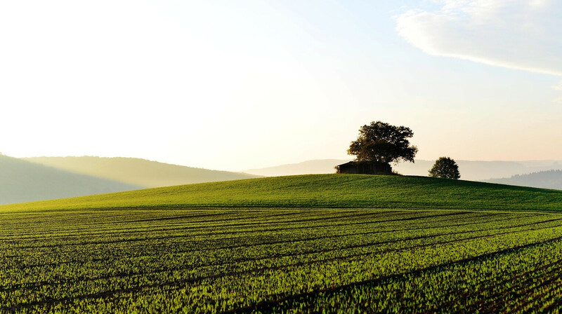 В Алматинской области вернули около 1000 объектов в госсобственность