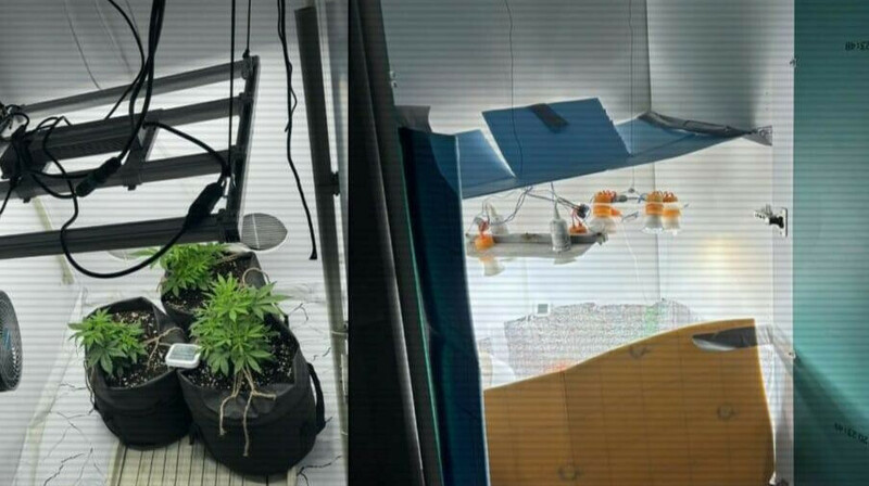 МВД Казахстана ликвидировало три нарколаборатории за сутки