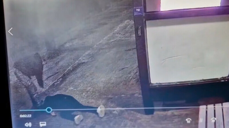 В Нижегородской области ветеран убил мужчину на автобусной остановке