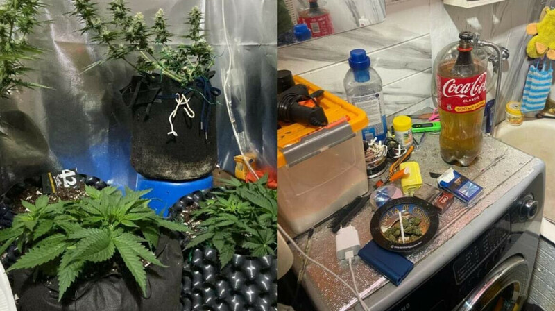 Россиянин выращивал марихуану в квартире вместе с детьми в Степногорске