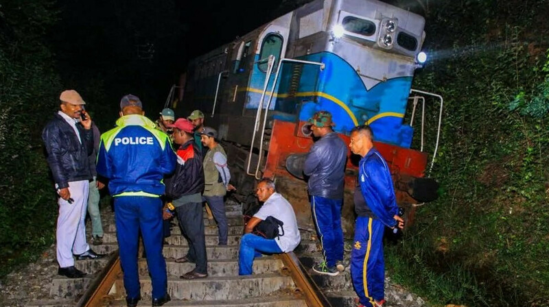 Поезд сбил стадо слонов на Шри-Ланке