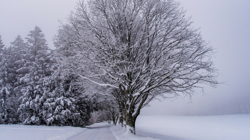 Штормовые предупреждения объявлены в Астане и 15 областях Казахстана на 20 февраля