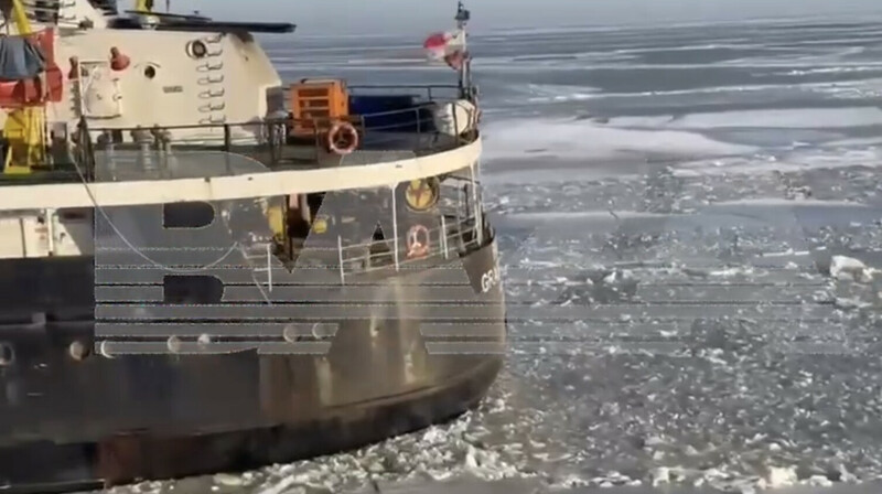 В Азовском море тонет сухогруз с 3 тысячами тонн кукурузы