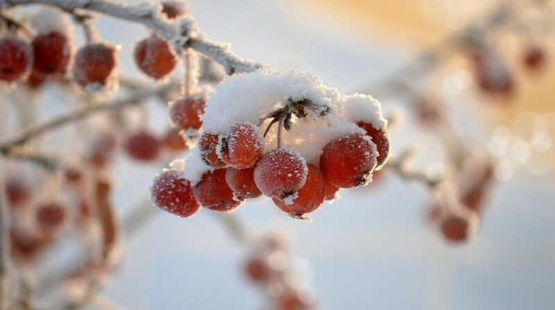 Циклоны принесут осадки и сильный ветер в большинство регионов Казахстана 26 февраля