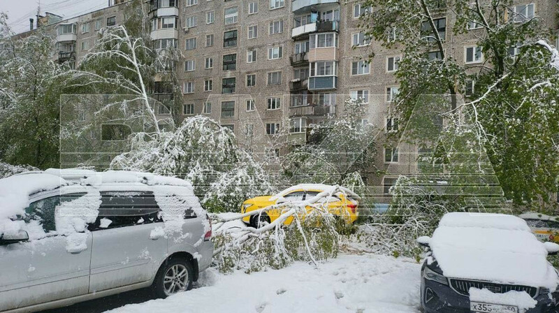 Снегопад в мае: в Москве деревья повредили десятки машин