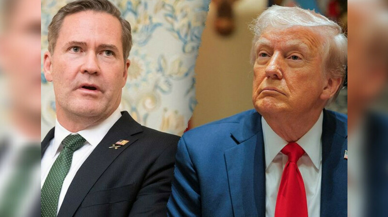 От Signal до Ирана: за что Трамп уволил советника Уолтца?