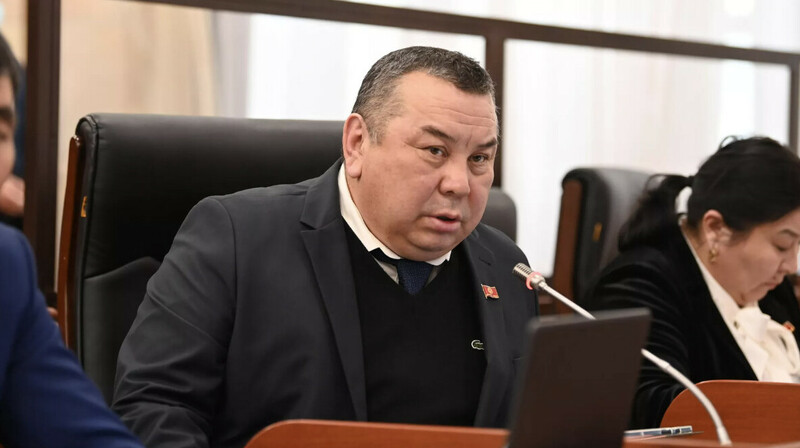 Депутат Кыргызстана требует наказать авторов закона о государственном языке