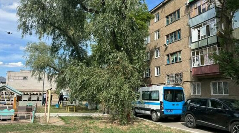В Павлодаре мать выбросила детей из окна