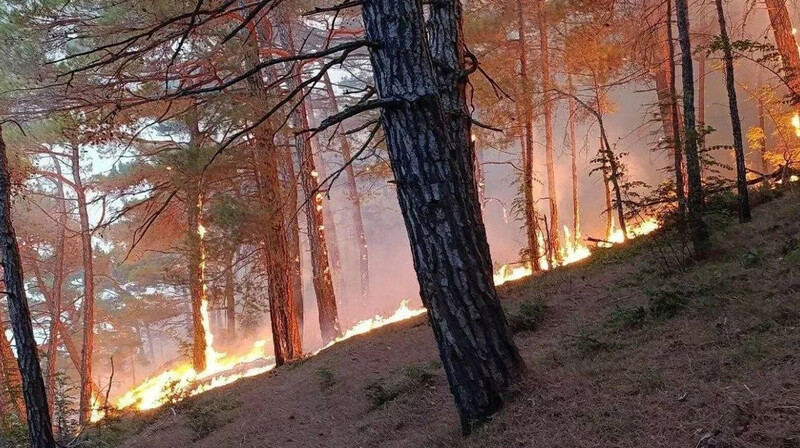 В Краснодарском крае потушили пожар возле «дворца Путина»
