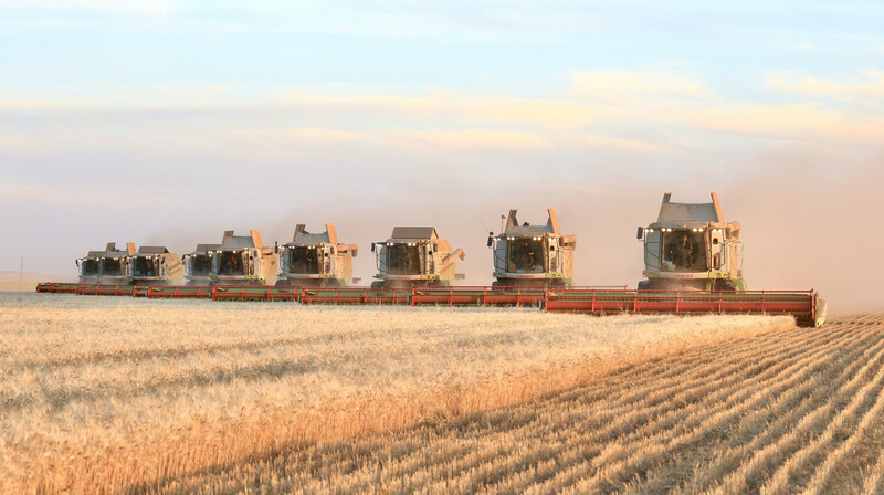 Экс-председателя Фонда финподдержки сельского хозяйства арестовали в Шымкенте