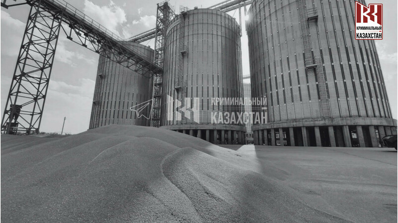 В СКО работница элеватора погибла после падения в зернохранилище