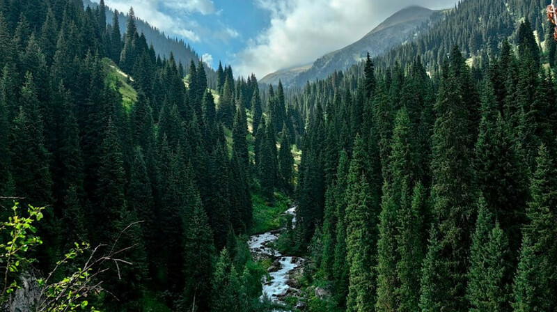 Затраты на охрану природы в Казахстане упали на 25% за год