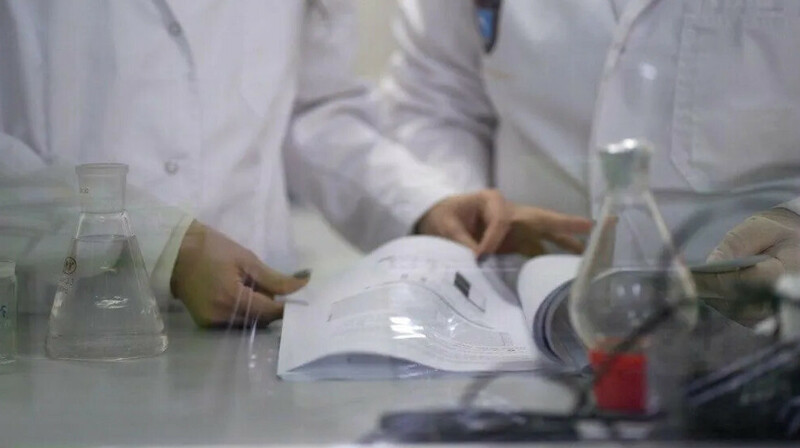 Цикорий против диабета: открытие казахстанского учёного может помочь 545 тысячам пациентов