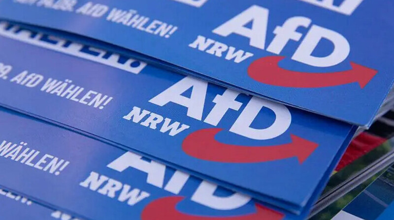 "Альтернатива для Германии" собрала вдвое больше крупных пожертвований, чем СДПГ Шольца