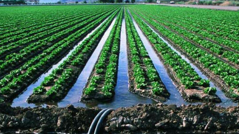 Поставщиков поливной воды оштрафовали на 17,8 млн тенге за нарушения